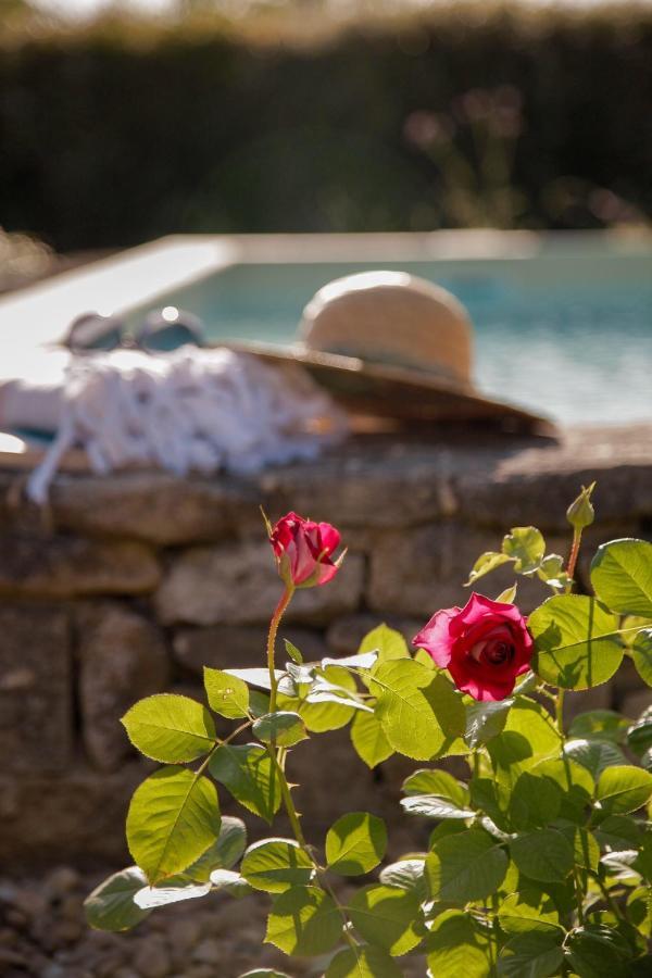La Figue Noire Bed and Breakfast Caromb Buitenkant foto